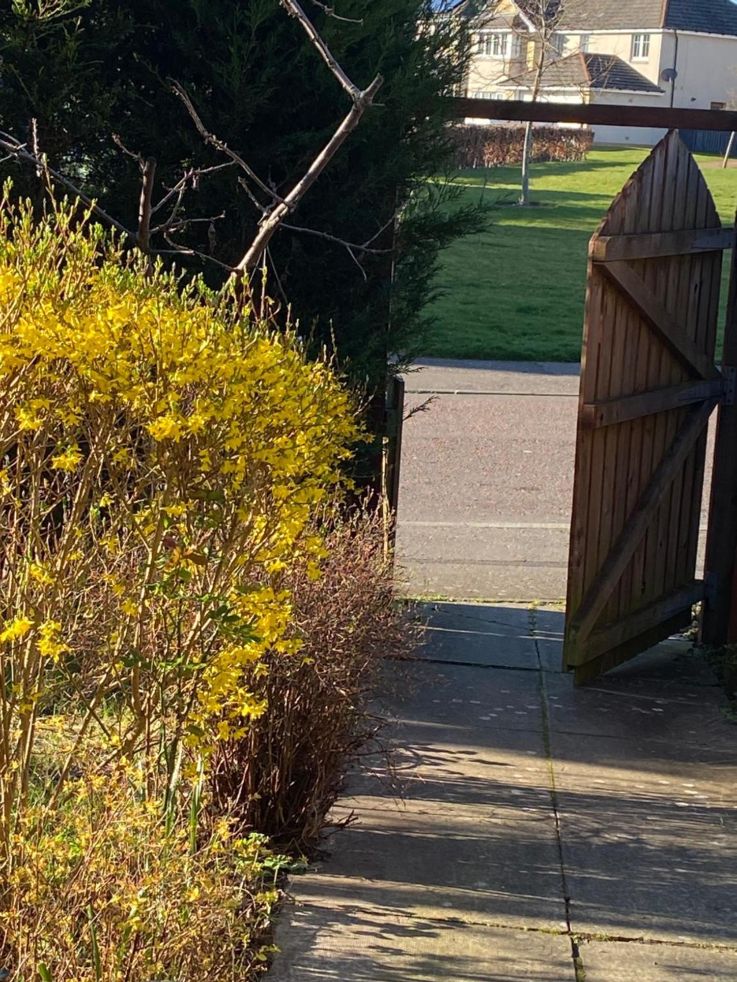 Bed and Breakfast Caledonia House Rosyth Exteriér fotografie